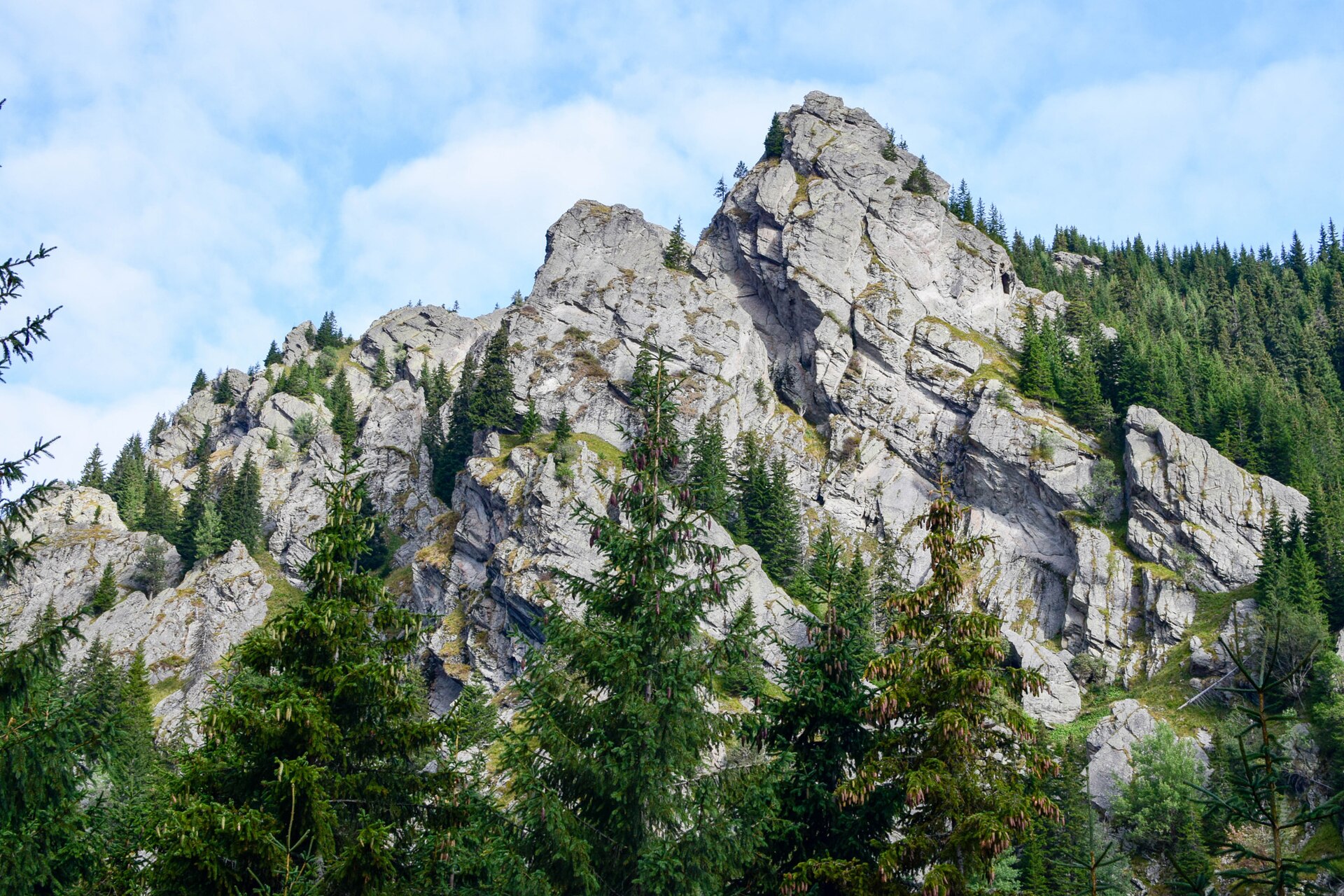 Făgăraș Mountains hiking trail — imagine de arhivă
